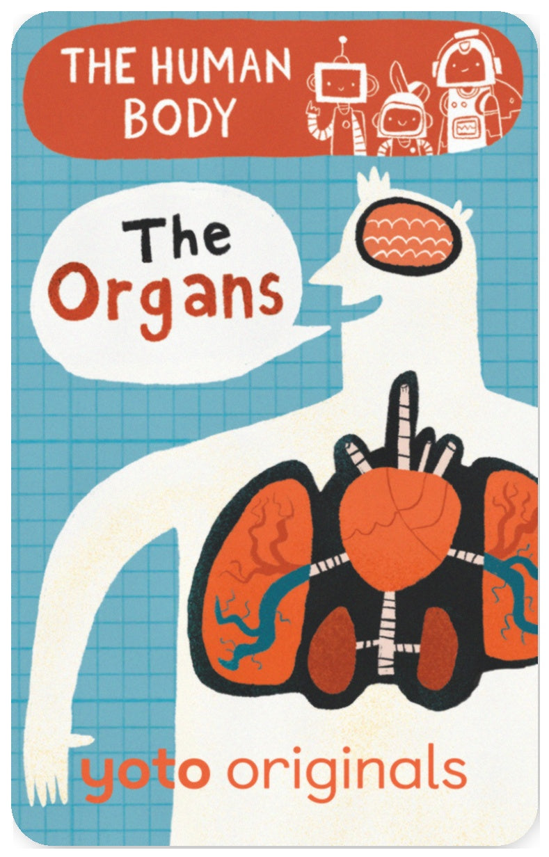 BrainBots: The Human Body The Organs