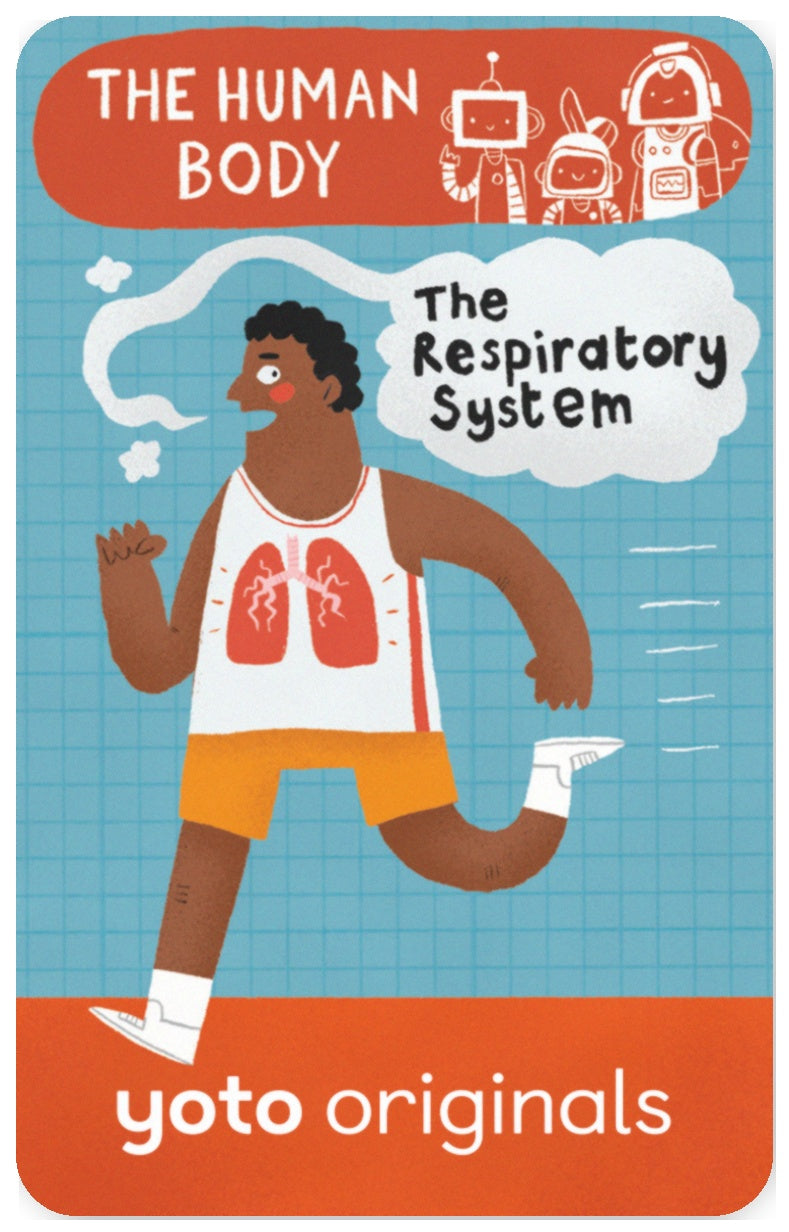 BrainBots: The Human Body The Respiratory System