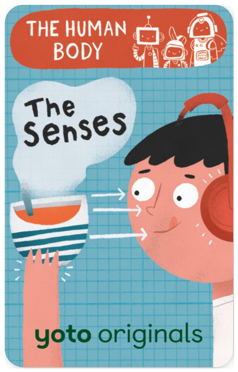 BrainBots: The Human Body The Senses