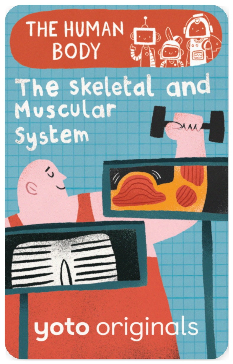 BrainBots: The Human Body The Skeletal and Muscular System