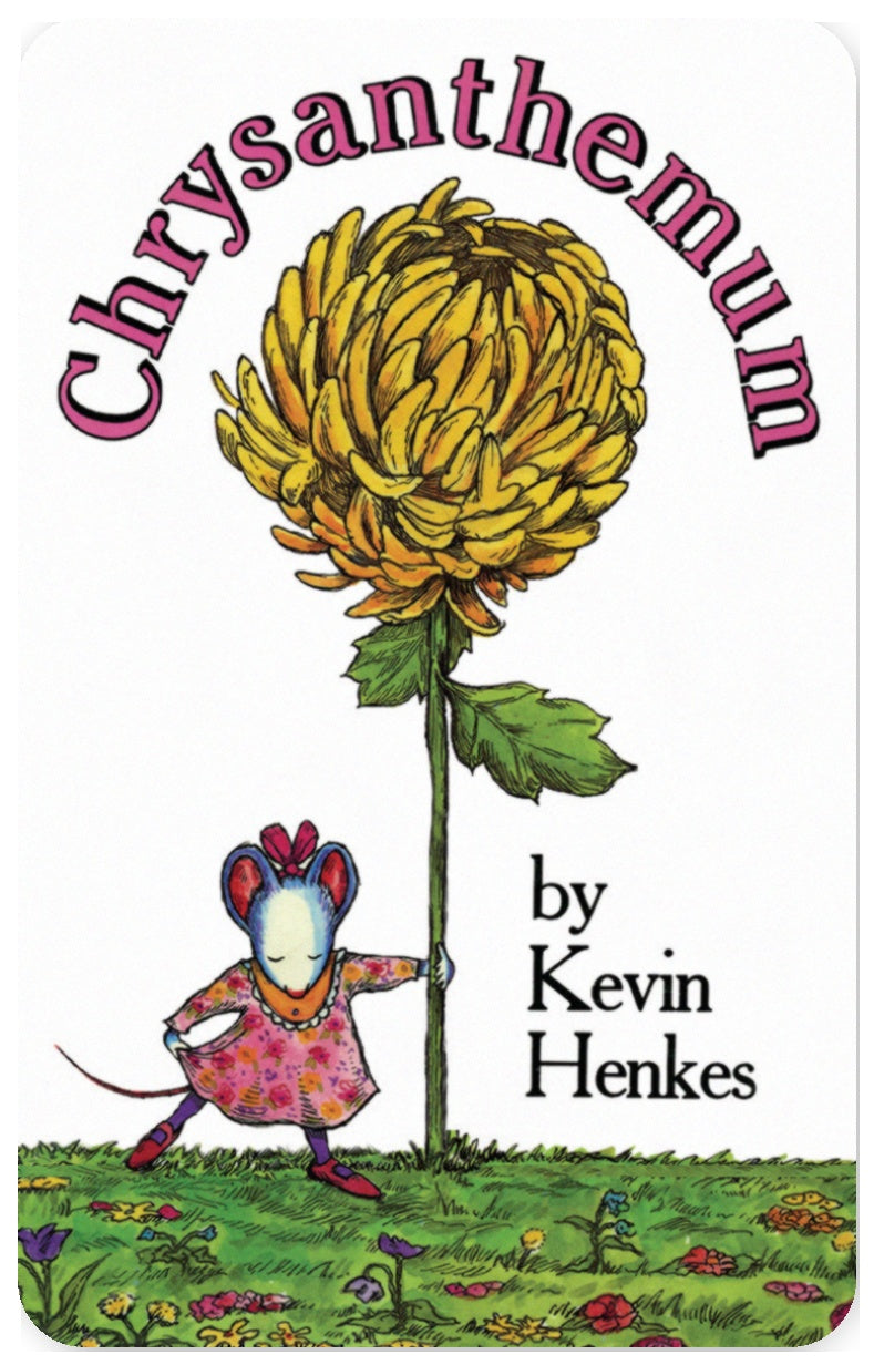 Chrysanthemum