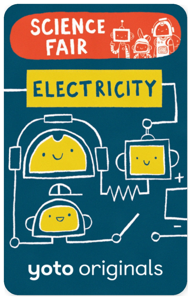 Science Fair Electricity