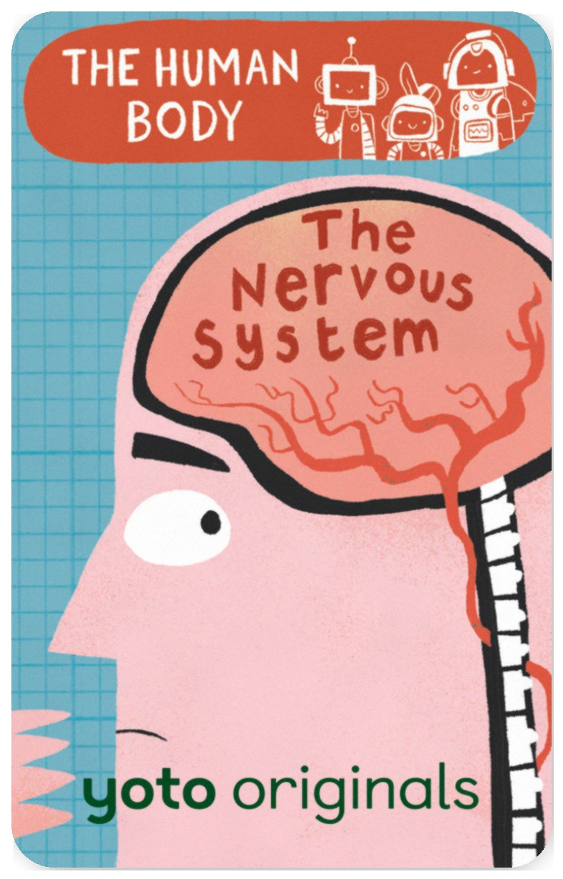 The Human Body: The Nervous System