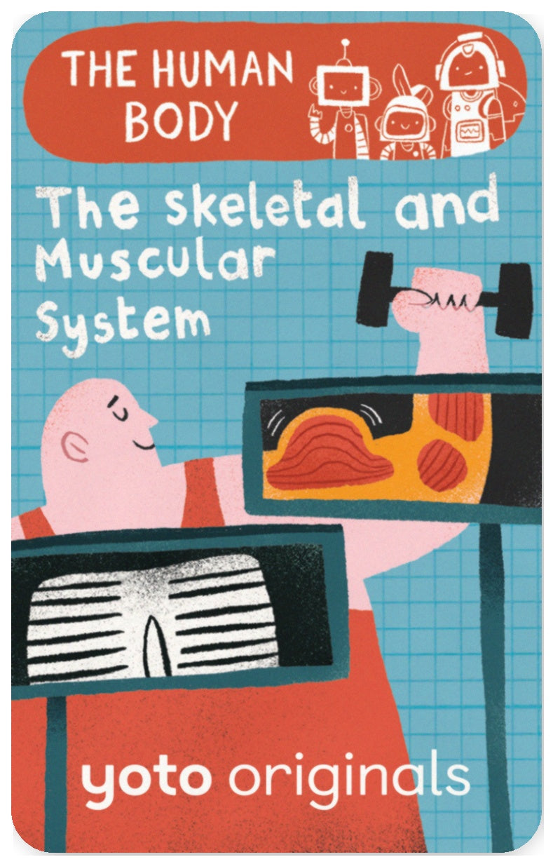 The Human Body: The Skeletal and Muscular Systems